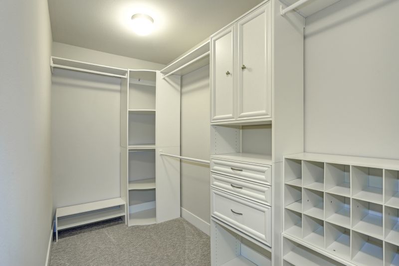 Closet Organization Vs Diy Storage Systems